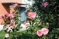 Zahrada ubytování Girasole Villa