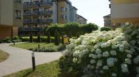 Vonkajšia záhrada v ubytovaní Apartament Agata