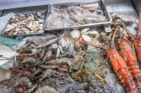 een heleboel verschillende soorten vis op een tafel bij Hayahay Resort in Panglao