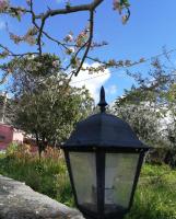 Vonkajšia záhrada v ubytovaní Albero della musica