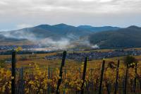 a fence in a field with mountains in the background at Le B. VINTAGE in Riquewihr