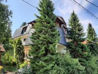 a house with a large pine tree in front of it at Guesthouse Hill in Sarajevo
