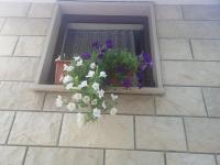 Plán poschodí v ubytovaní Apartments Krivic