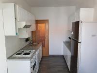 Kuchyň nebo kuchyňský kout v ubytování Apartment Doris
