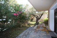 Vonkajšia záhrada v ubytovaní Villa Argo 2 - Beachfront, Big gardens, Location!