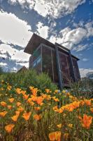 a field of orange flowers in front of a building at Encuentro Guadalupe in Valle de Guadalupe