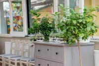 Fotografie z fotogalerie ubytování Nyerges Hotel Termál Superior v destinaci Monor