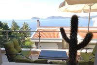 einen Kaktus auf einem Balkon mit Meerblick in der Unterkunft Markellas Summer House in Palaió Tsiflíki