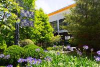 a garden with purple flowers in front of a building at Yun Wu B&amp;B in Ren&#39;ai