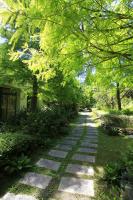 a tree lined path in a garden with trees at Yun Wu B&amp;B in Ren&#39;ai