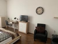 Televízia a/alebo spoločenská miestnosť v ubytovaní Liliom Apartman Pécs
