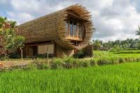 Beehouse Dijiwa Ubudにある庭