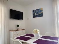 TV a/nebo společenská místnost v ubytování Apartments Danica