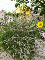 Plán poschodí v ubytovaní Holiday Home Krasica