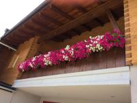 a balcony with pink flowers on a wooden building at Almwirt in Bramberg am Wildkogel