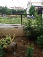 Vonkajšia záhrada v ubytovaní Thesshouse Pefka FK