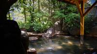 旅館の近くで見られる自然の景観