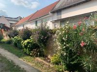 A garden outside Ferienwohnungen zum Briefmarkenhaus