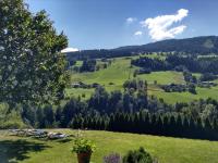 Príroda v okolí apartmánu