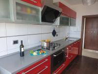 Kuchyňa alebo kuchynka v ubytovaní Apartment Alina, Kastav