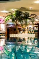 Der Swimmingpool an oder in der Nähe von Mauritius Hotel & Therme