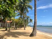 a beach with palm trees and the ocean at Peppercorn Beach Resort in Phú Quốc
