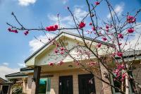 a tree with pink flowers in front of a house at Countryside B&amp;B in Ruisui