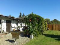 a garden with a plant in a yard at Pension Fennert in Pritzwald