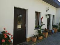 a front door of a house with potted plants at Pension Fennert in Pritzwald