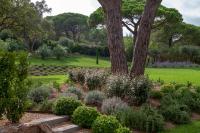 a garden with plants and trees in a park at Les Pins de l&#39;Escalet in Ramatuelle