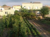Jardín al aire libre en Casa Baleso