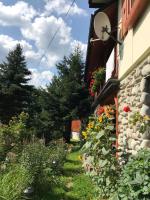 Zahrada ubytování Willa Anna