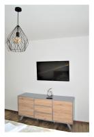 TV a/nebo společenská místnost v ubytování SGL apartments Lavickova