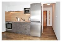 Kuchyň nebo kuchyňský kout v ubytování SGL apartments Lavickova