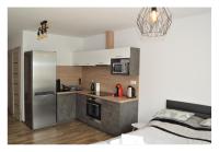 Kuchyň nebo kuchyňský kout v ubytování SGL apartments Lavickova