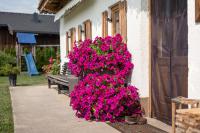 Zahrada ubytování Narzenhof Wellness Chalets, Familien & Luxus Apartments am Bauernhof