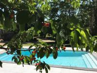 a tree branch with fruit next to a swimming pool at La Merise Gite in Villefranche-dʼAlbigeois