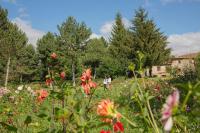 A garden outside Hotel Boutique El Convento de Mave