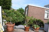 Een tuin van Bed & Breakfast Leonie