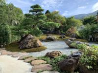 ゲストハウスの近くで見られる自然の景観