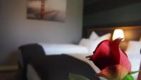 a red flower in front of a hotel room at Hotel Garni am Schloss in Kottenheim