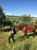 Zvieratá na farme alebo blízkom okolí