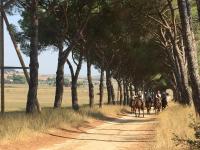 Hostia v ubytovaní Agriturismo La Valentina Nuova
