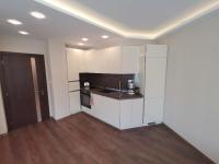 Kuchyň nebo kuchyňský kout v ubytování City Center Lux Apartment