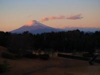 ホテルの近くで見られる自然の景観