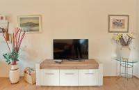 TV a/nebo společenská místnost v ubytování Ferienwohnung Ostrach