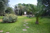 A garden outside Casa Bedda