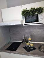 Kuchyňa alebo kuchynka v ubytovaní Apartments Jaki