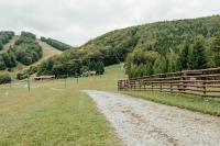 Príroda v okolí horskej chaty