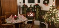 un comedor con un árbol de Navidad y una chimenea en Waldgasthof & Hotel Am Sauwald, en Tannenberg